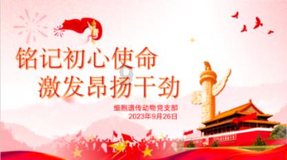 中华企业5涨停